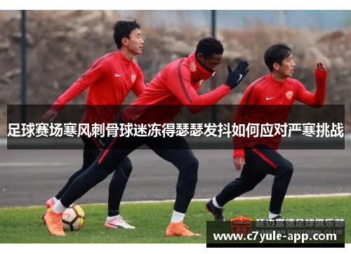 足球赛场寒风刺骨球迷冻得瑟瑟发抖如何应对严寒挑战