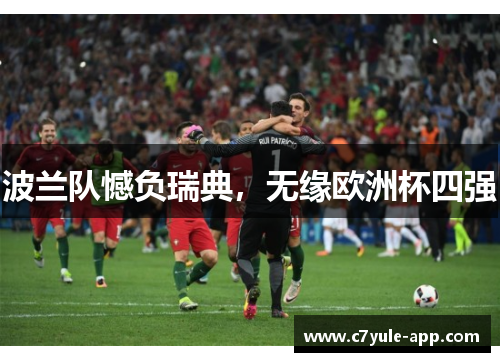 波兰队憾负瑞典，无缘欧洲杯四强